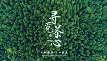 &#24320;&#20113;&#25163;&#26426;&#20837;&#21475;&#45;&#24320;&#20113;&#40;&#20013;&#22269;&#41;