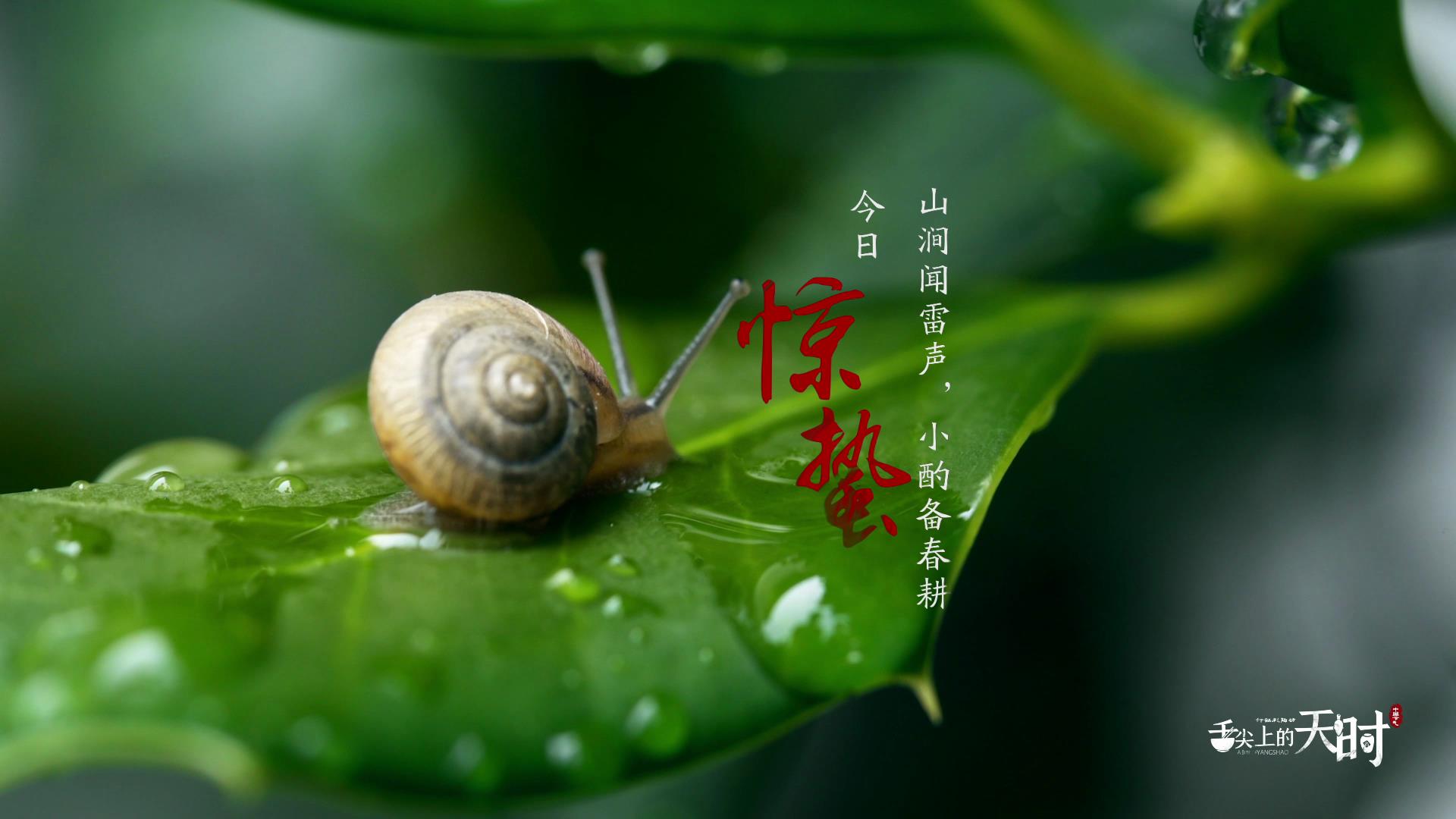 &#24320;&#20113;&#25163;&#26426;&#20837;&#21475;&#45;&#24320;&#20113;&#40;&#20013;&#22269;&#41;